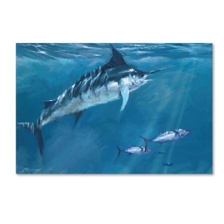 The Macneil Studio '0650 Marlin' Canvas Art,30x47